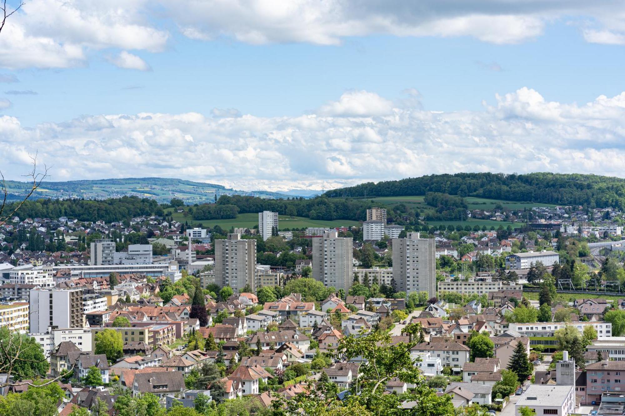 Tiny House Chez Claudine - Relaxen, Workspace, Naehe Thermen, Netflix, Free Parking & Wifi Brugg  Exterior foto