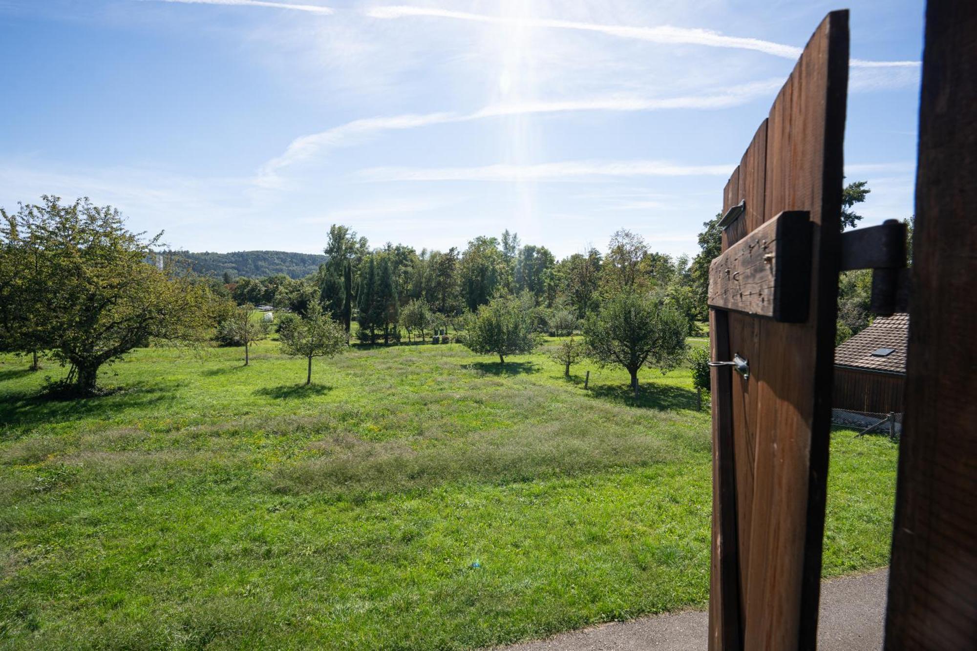 Tiny House Chez Claudine - Relaxen, Workspace, Naehe Thermen, Netflix, Free Parking & Wifi Brugg  Exterior foto